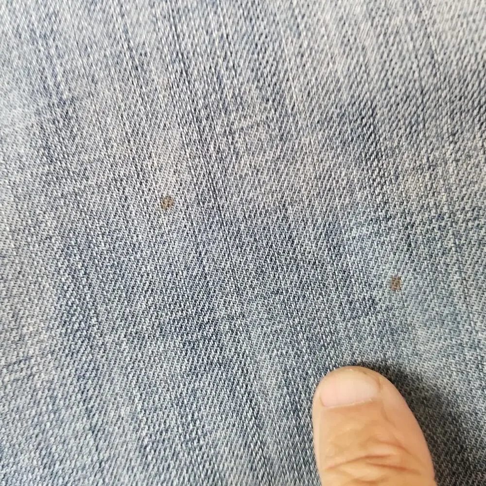Levis brand levi
